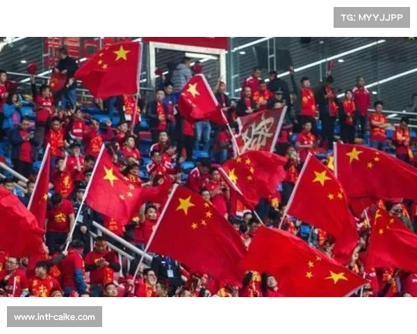 中国赛季门票价格调整，球迷基数扩张支撑市场